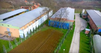 Hrana produkt – farma za tov pilića Kovačevac