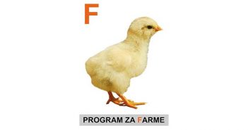 ŽP-1 T, 20% – POTPUNA SMEŠA ZA PRIPLODNE PILIĆE – teška linija od 0 do 14 dana starosti DROBLJENI PELET