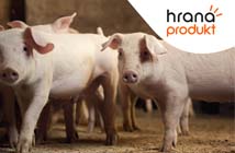 Hrana produkt – Za siguran rast – Svinje