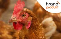 Hrana produkt – Za siguran rast – Koke nosilje