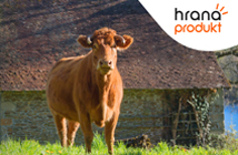 Hrana produkt – Za siguran rast – Krave muzare